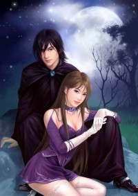 上門女婿