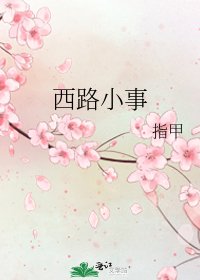 西路小事